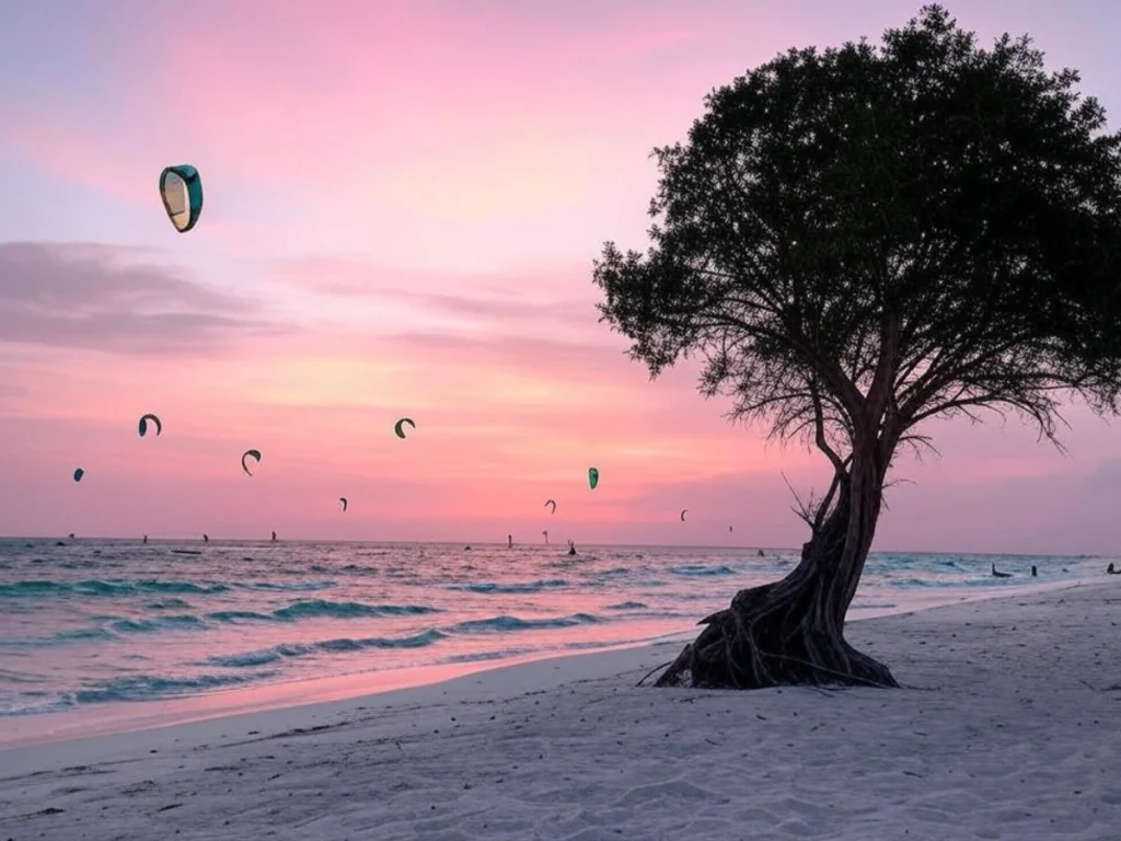 Top 10 Best Beaches in the Caribbean for Your Dream Vacation Eagle Beach, a beautiful beach in Aruba with soft white sands and fofoti trees.