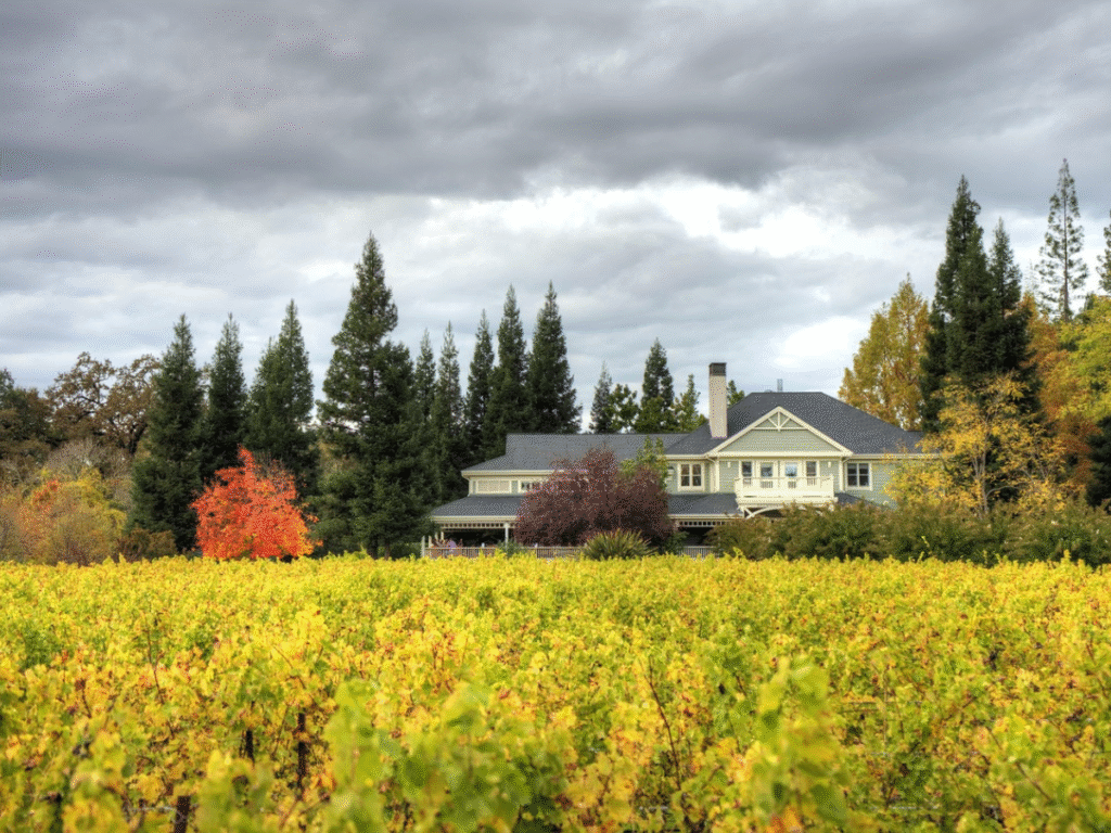 15 Dreamy Romantic Weekend Getaways in the USA for Couples in 2025 Napa Valley, California