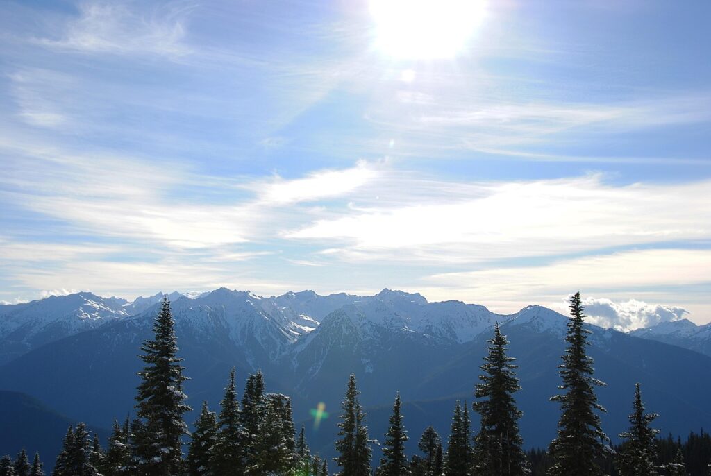 Olympic Peninsula, Washington 