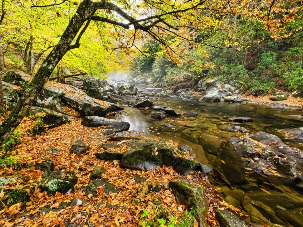 The Best 3 Day Weekend Trips USA for Your Next Getaway Smoky Mountains, Tennessee