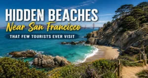 Hidden Beaches Near San Francisco