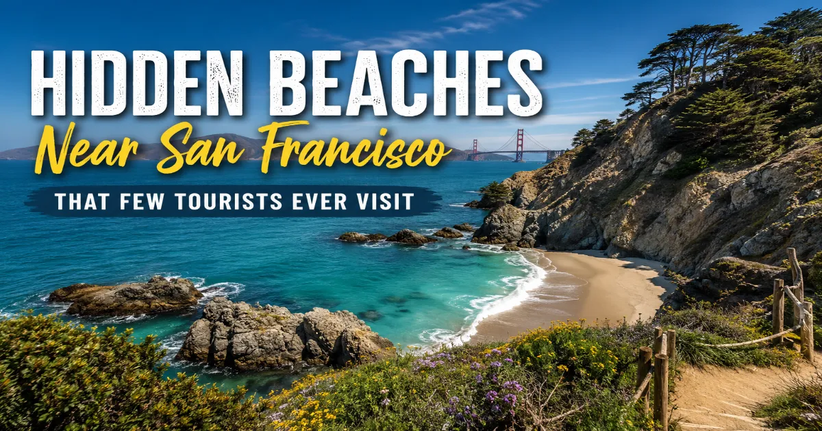 Hidden Beaches Near San Francisco