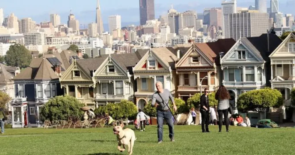 Alamo Square Park with dog