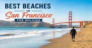 Best Beaches in San Francisco