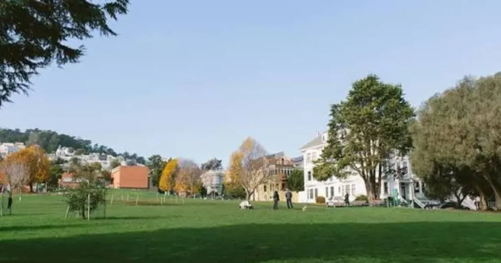 Duboce dog Park