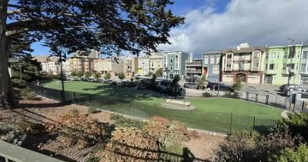 Francisco Park Dog Park
