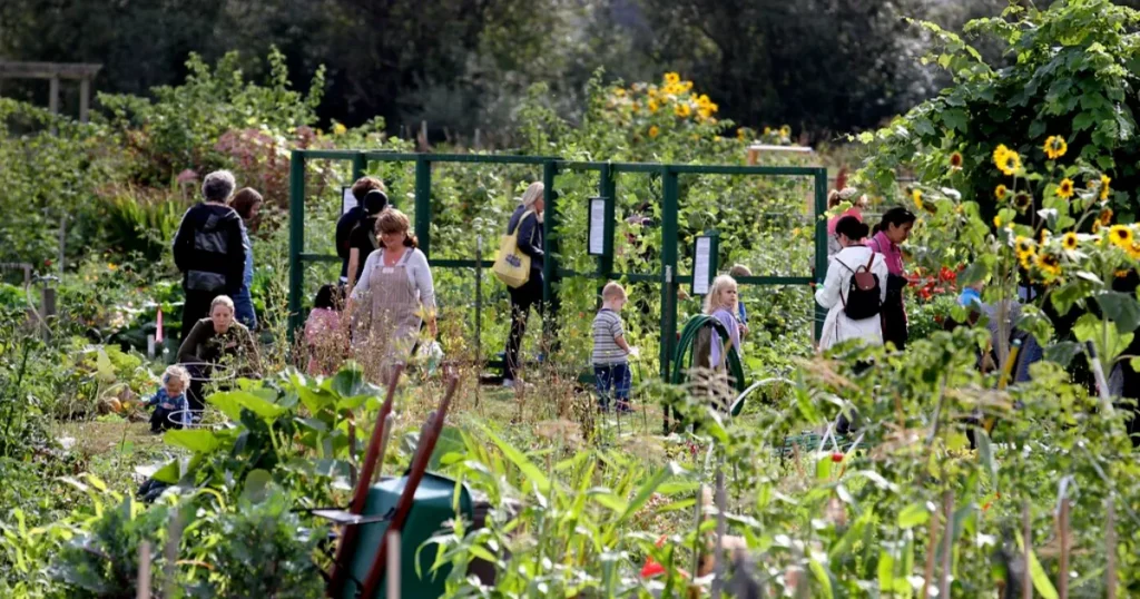 Quietest Gardens in San Francisco to Relax Garden for the Environment