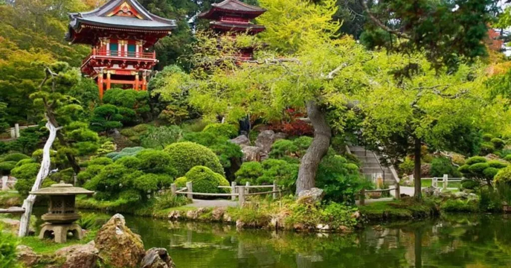 Quietest Gardens in San Francisco to Relax Japanese Tea Garden