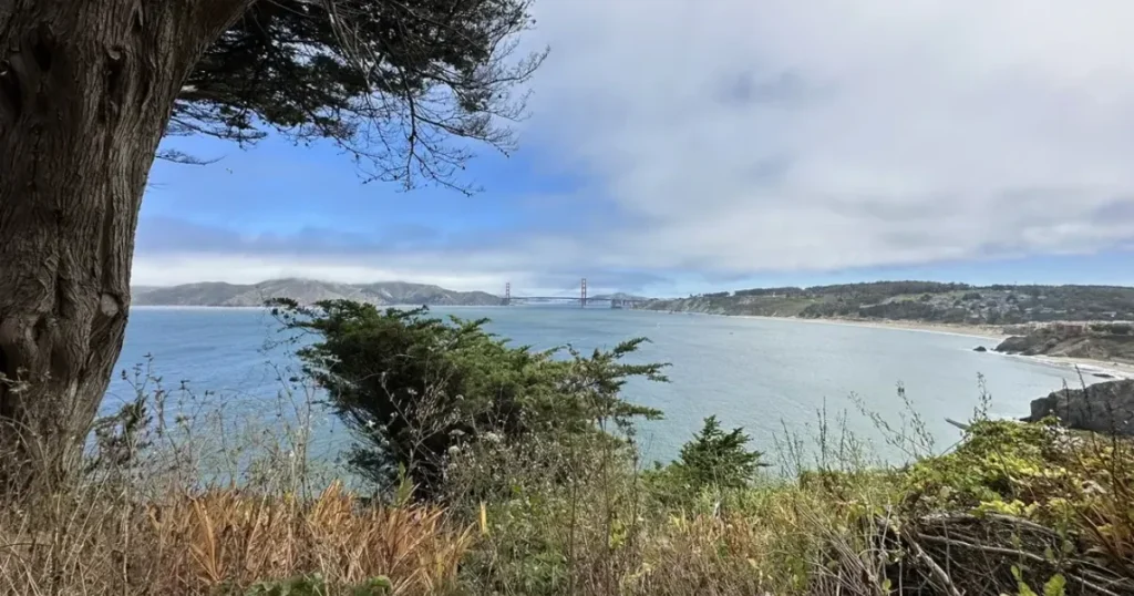 Best Beaches in San Francisco for Walking Marshall Beach for Walking