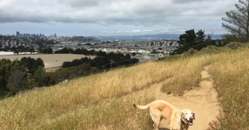 McLaren Park
