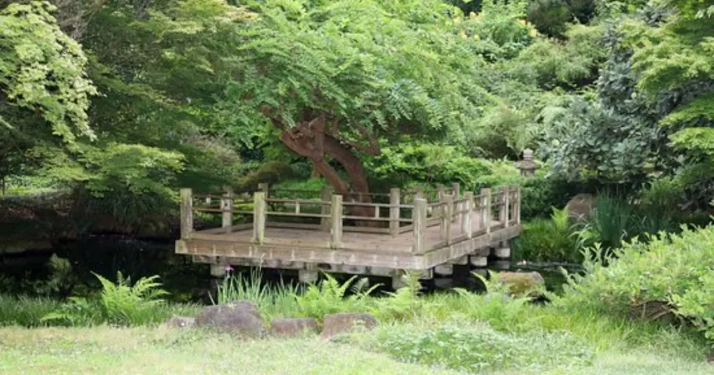 Quietest Gardens in San Francisco to Relax Moon Viewing Garden