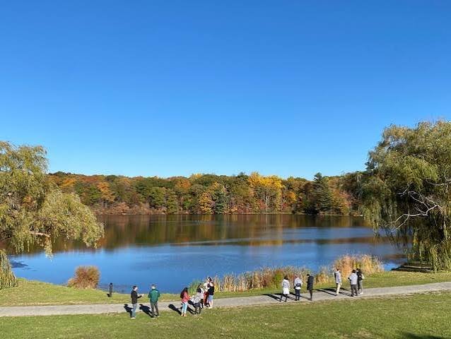 Best Parks in San Francisco for a Picnic: 8 Scenic Places to Eat Outdoors Mountain Lake Park