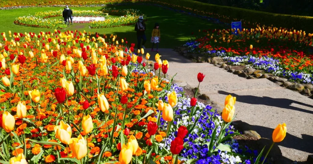 Quietest Gardens in San Francisco to Relax Queen Wilhelmina Garden
