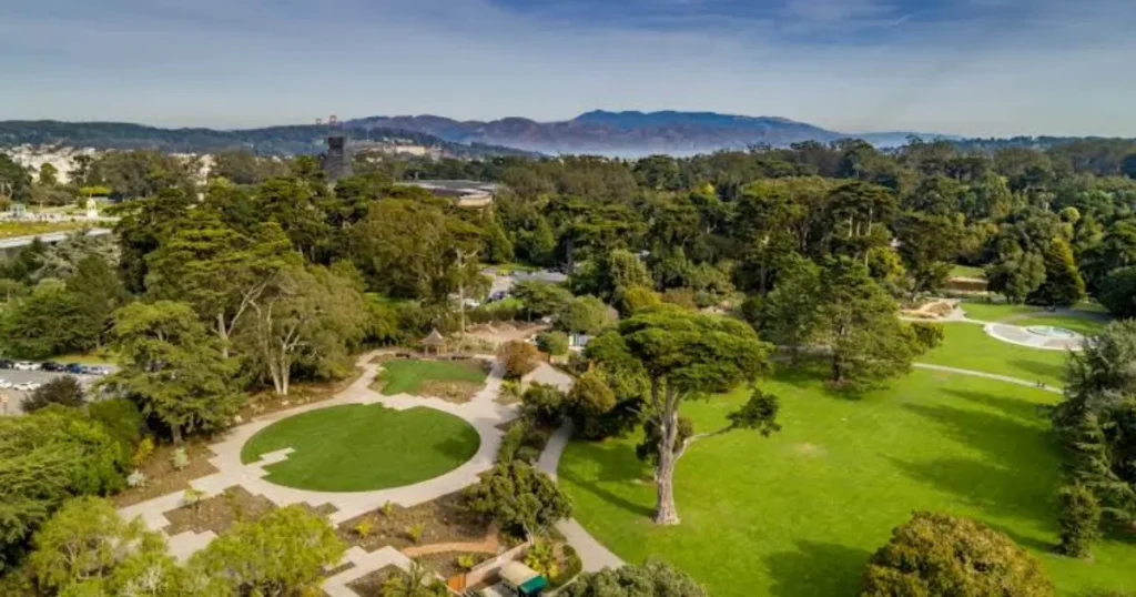 Quietest Gardens in San Francisco to Relax San Francisco Botanical Garden
