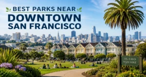 San Francisco’s Best Downtown Parks