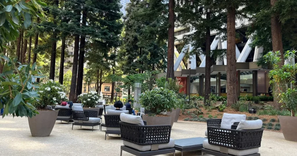Best Parks Near Downtown San Francisco Transamerica Redwood Park