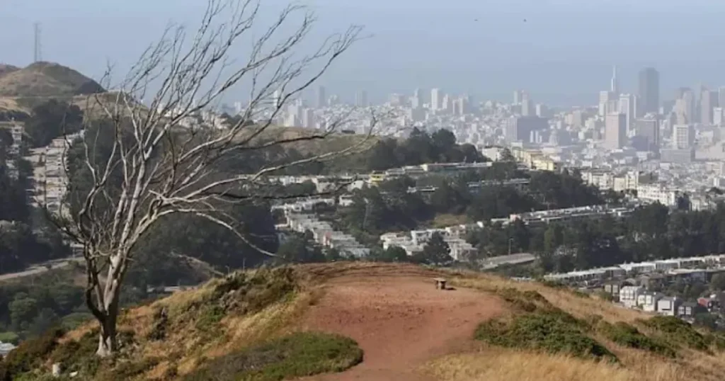 Twin Peaks