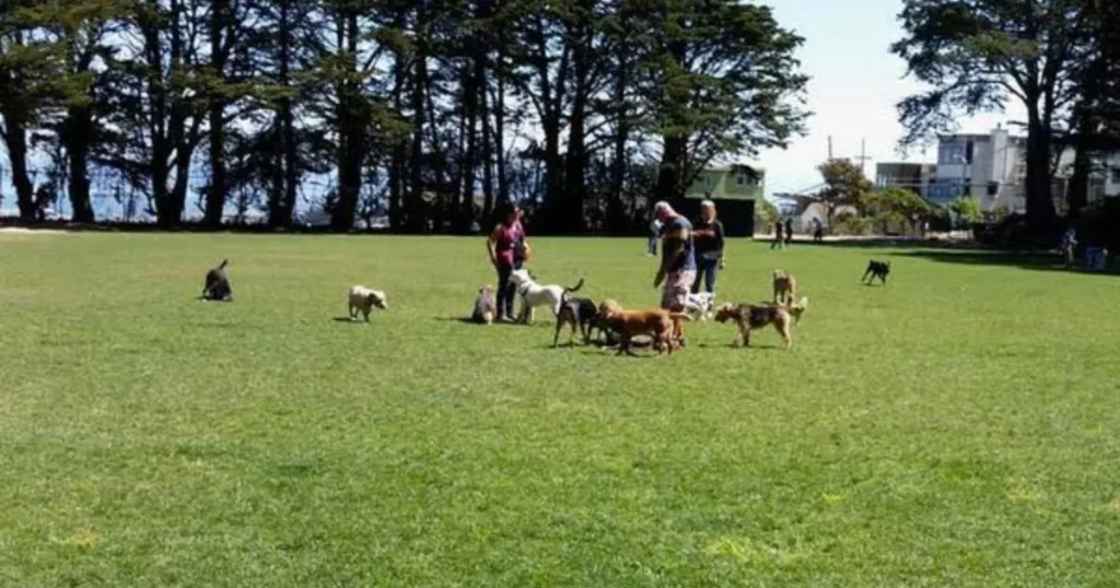 Upper Douglass Dog Park